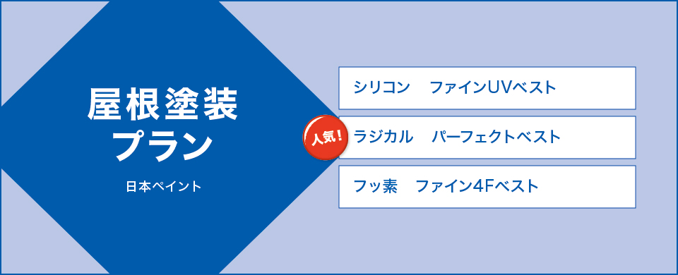 �����h���v����