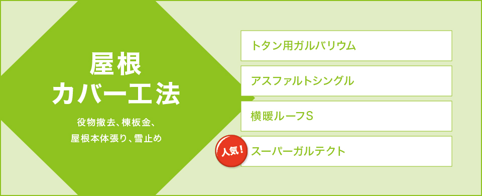 �����J�o�[�H�@