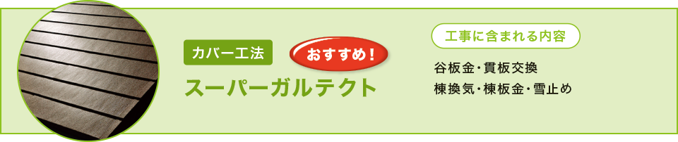 �X�[�p�[�K���e�N�g