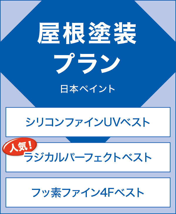 �����h���v����