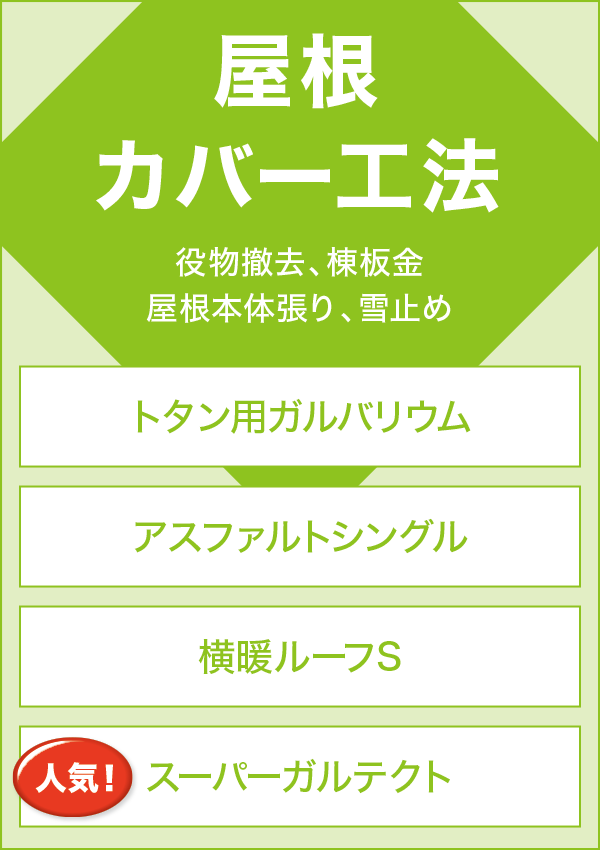 �����J�o�[�H�@