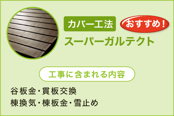 �X�[�p�[�K���e�N�g